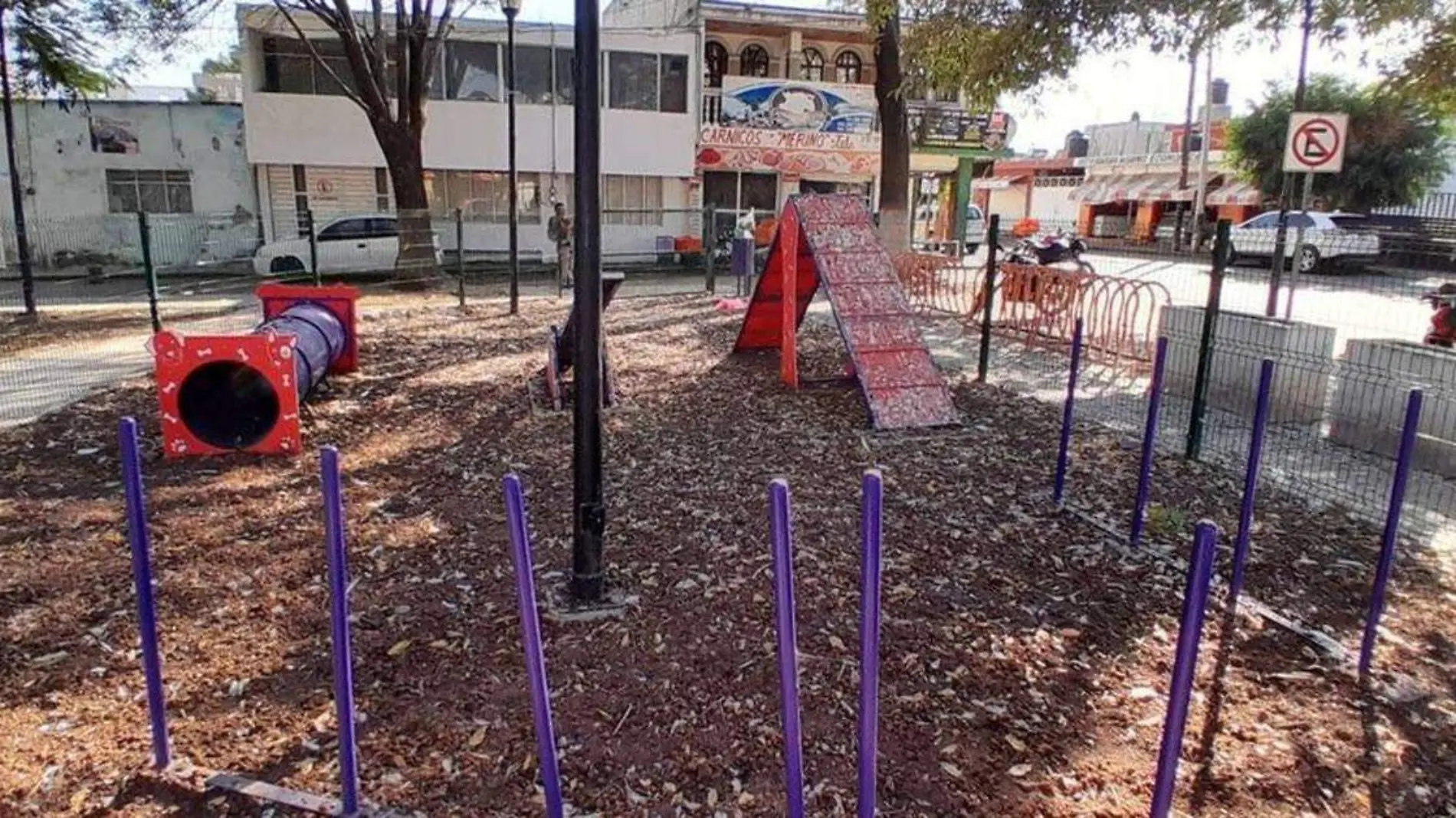 Las aves provocan suciedad en los parques